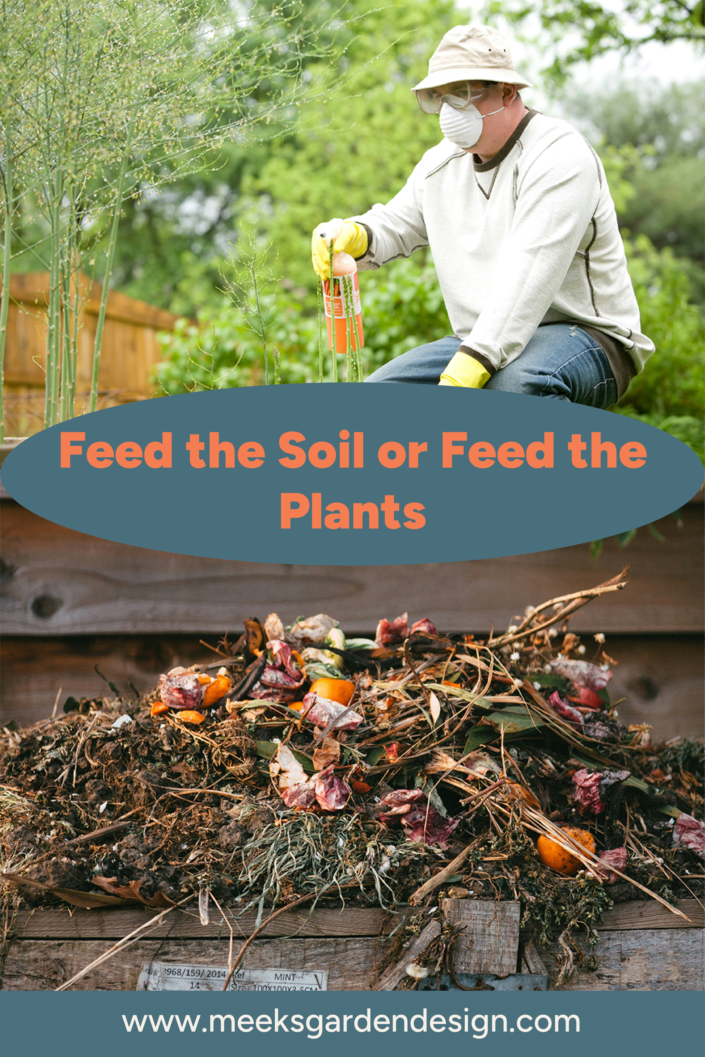 Feed the Soil or Feed the Plant