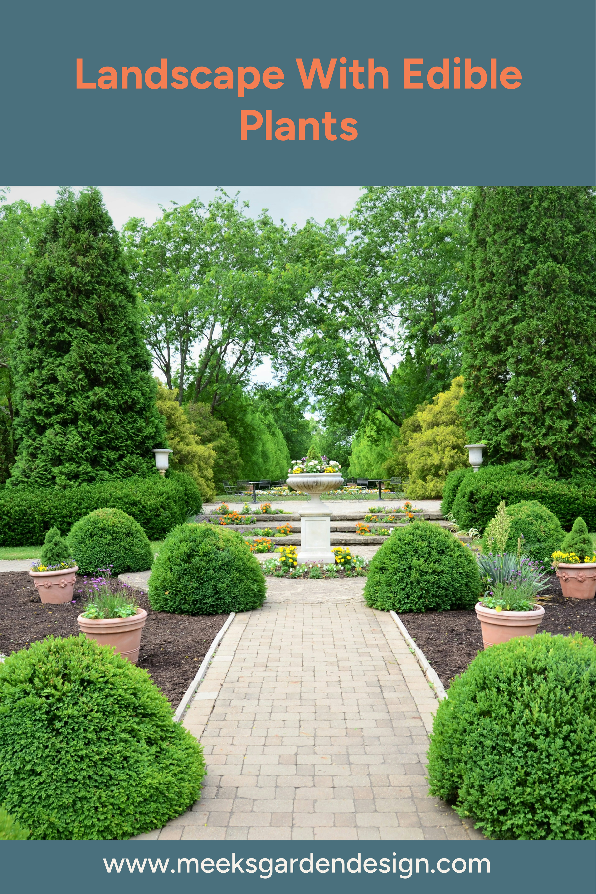 Landscaping With Edible Plants