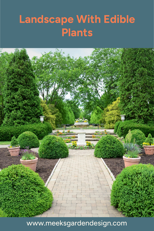 Landscaping With Edible Plants