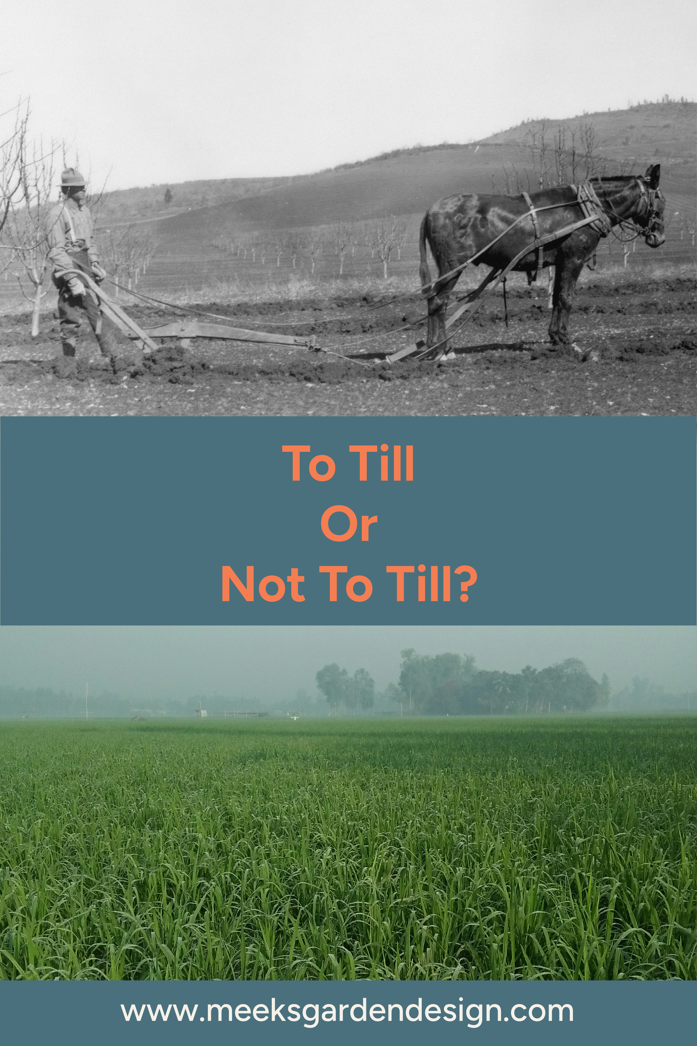 To Till or Not to Till_Meeks Garden Design