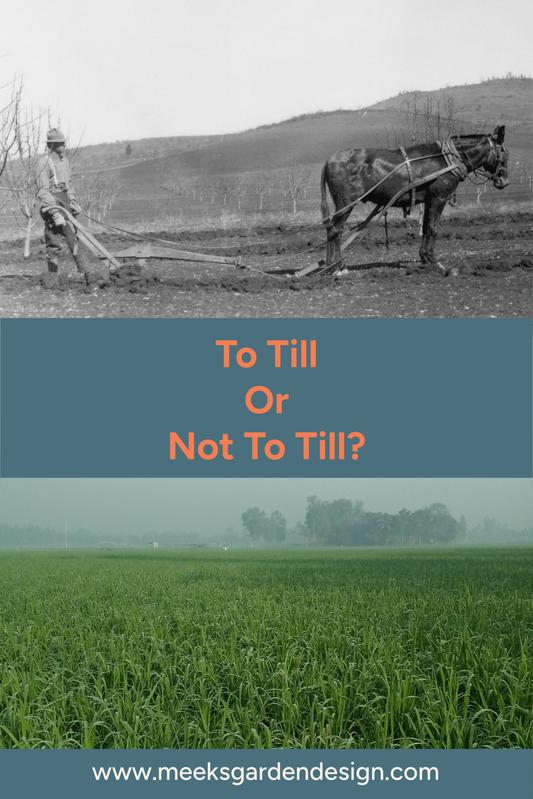 To Till or Not to Till_Meeks Garden Design