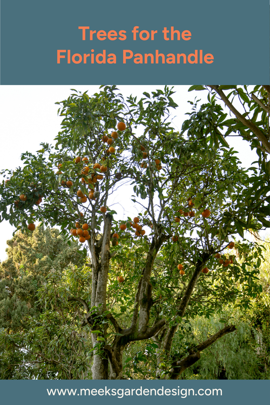 Trees for Florida Panhandle
